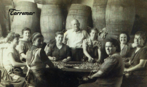 torremar olives usa